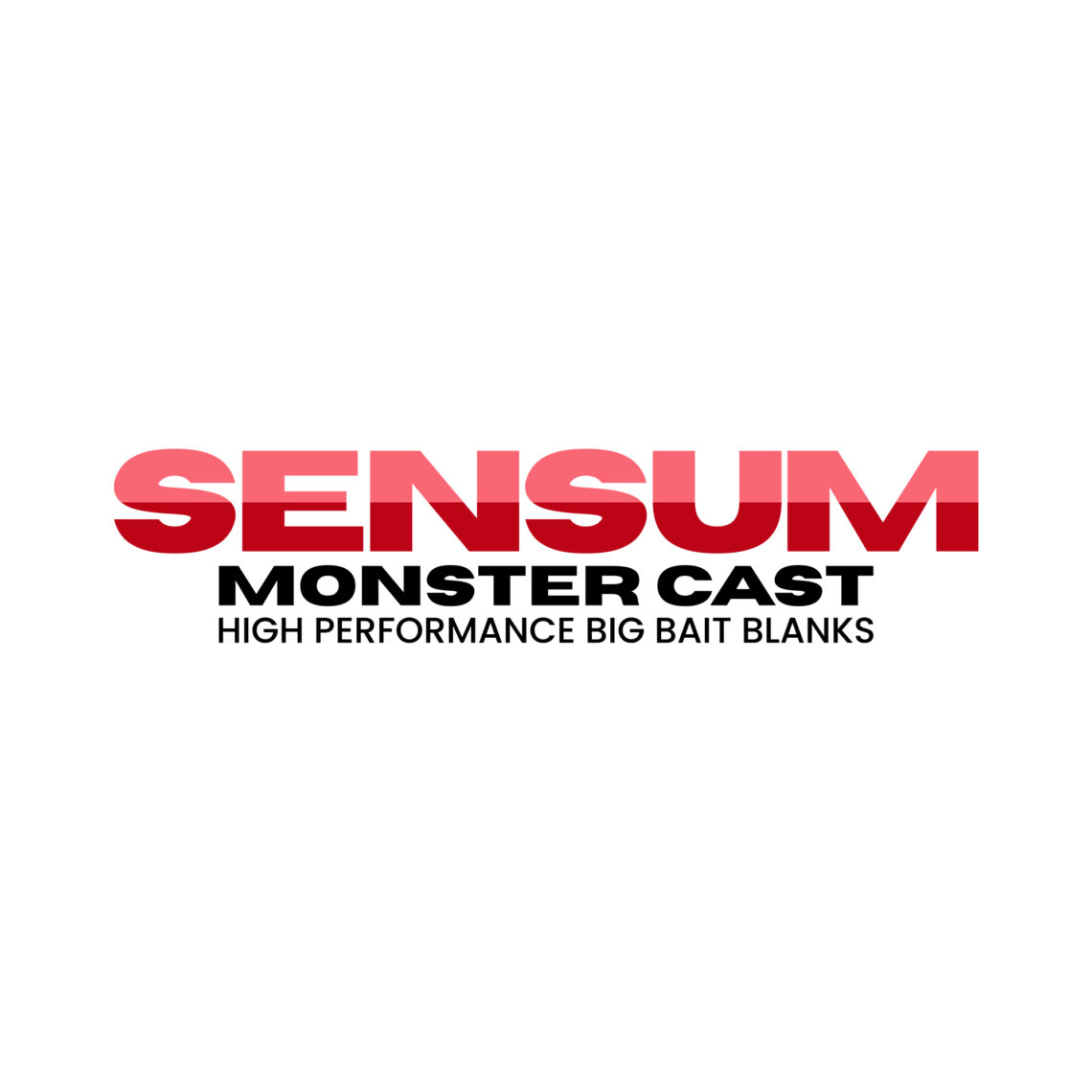 RMP Fishing Sensum Monster Cast Blank Big Bait